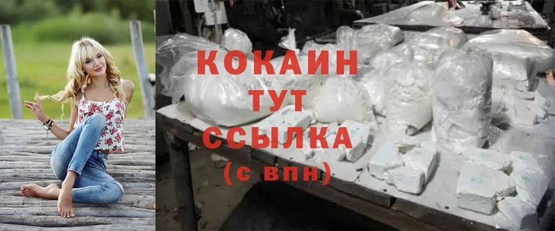 где купить наркоту  Россошь  нарко площадка состав  Cocaine Fish Scale 